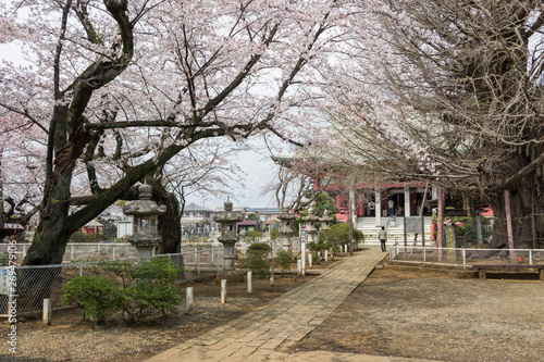 chiba Temple