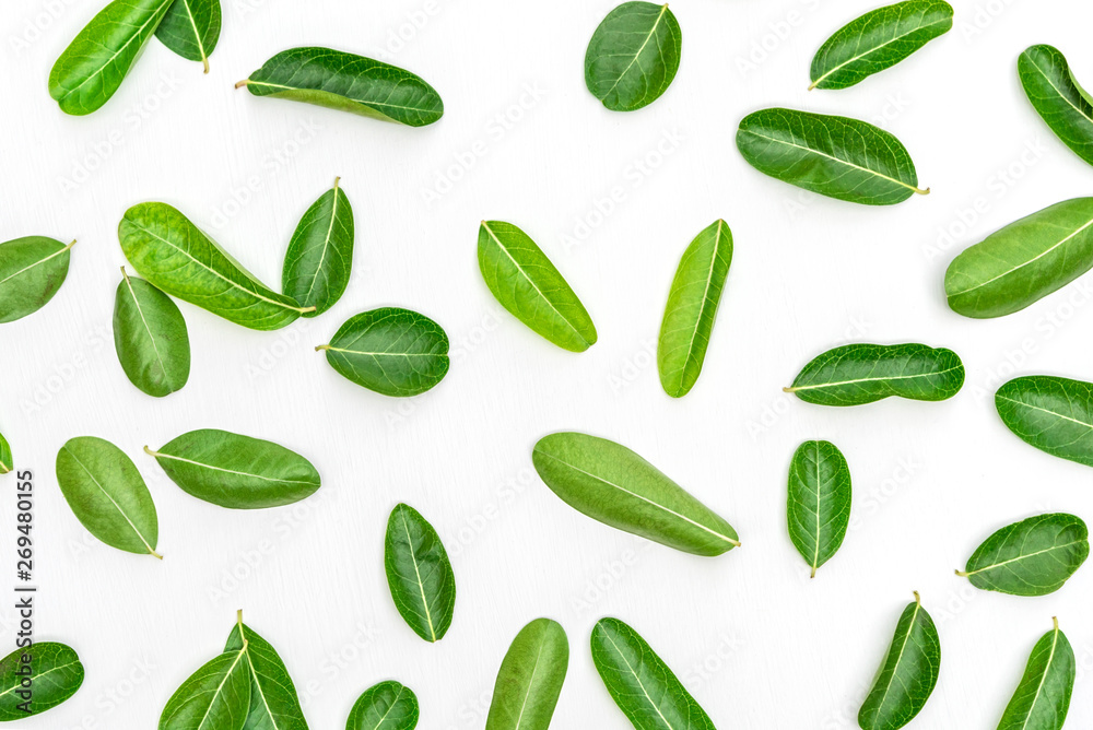Bengal Currants Leaf on white wood background. Bengal Currants Leaf on white wood background.