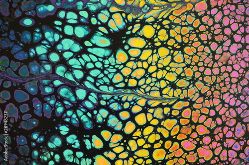 Black acrylic swipe painting with multicolored cells popping through with one color flowing into the next.