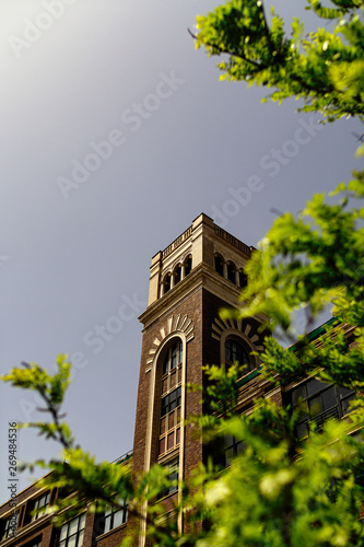 Tower Through the Green