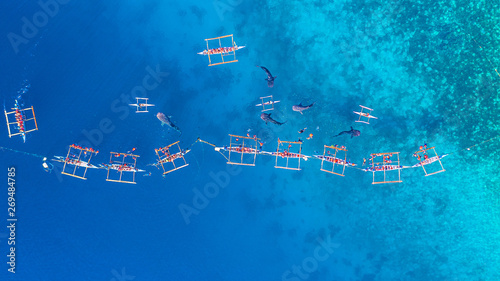 Obraz na plátně Aerial view Oslob Whale Shark Watching, Fishermen feed gigantic whale sharks ( Rhincodon typus) from boats in the sea in the Oslob, Cebu, Philippines
