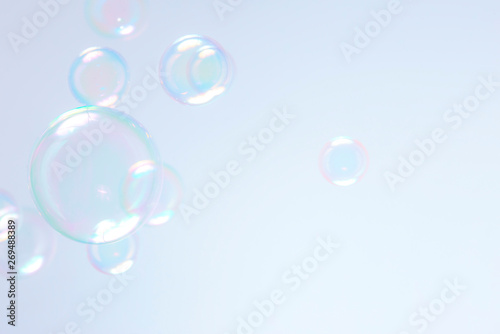 beautiful soap bubbles float in the air.