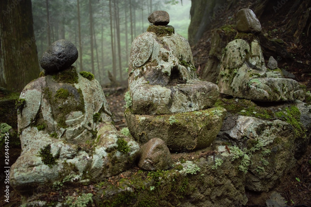 Ancient Buddha statues in the forest, Nikko, Japan
