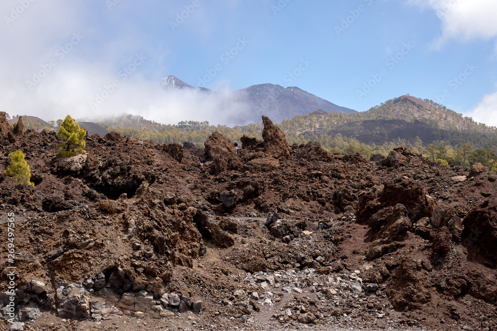 Panoramic landscape of the volcanic area