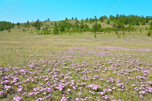 Fotografi Baikal