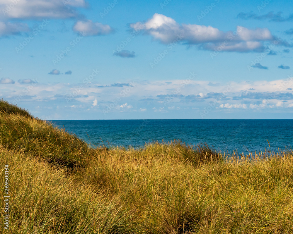 Dünenlandschaft Dünenlandschaft