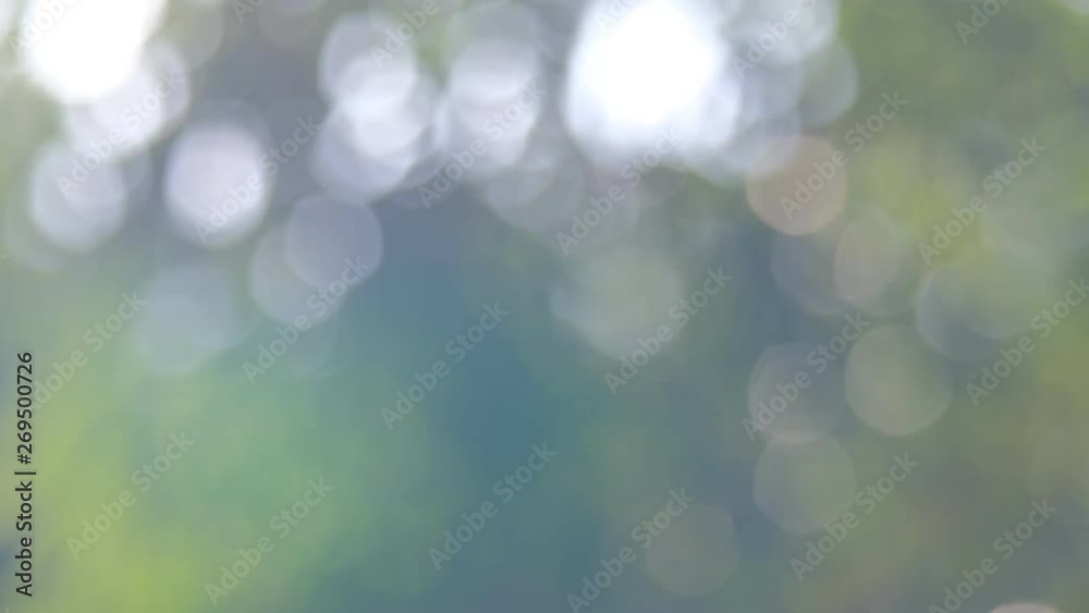 Defocused abstract nature background with green leaves and bokeh lights. Royalty high-quality free stock video footage of natural blurred bokeh background from leaf and tree effects bokeh bubble light Defocused abstract nature background with green leaves and bokeh lights. Royalty high-quality free stock video footage of natural blurred bokeh background from leaf and tree effects bokeh bubble light