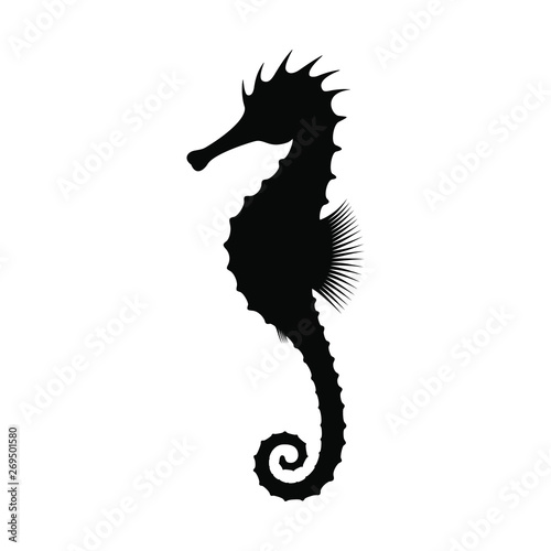 Seahorse graphic icon. Black silhouette seahorse isolated on white background. Seahorse high detailed symbol or sign. Vector illustration