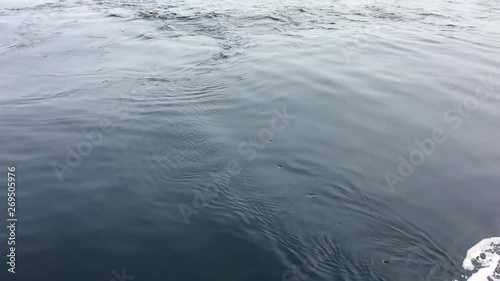 waves on the beach
