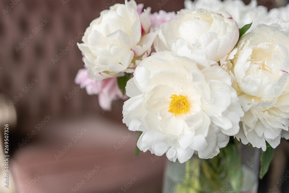 White peonies in a metal vase. Beautiful peony flower for catalog or online store. Floral shop concept . Beautiful fresh cut bouquet. Flowers delivery White peonies in a metal vase. Beautiful peony flower for catalog or online store. Floral shop concept . Beautiful fresh cut bouquet. Flowers delivery