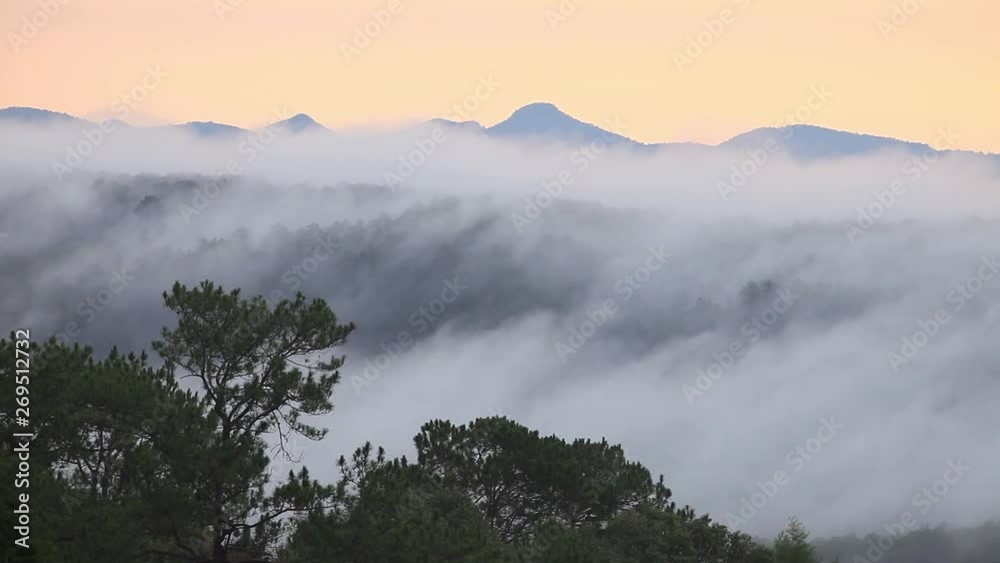 Fog flowing through the mountain valley , Chiangmai, Thailand Fog flowing through the mountain valley , Chiangmai, Thailand