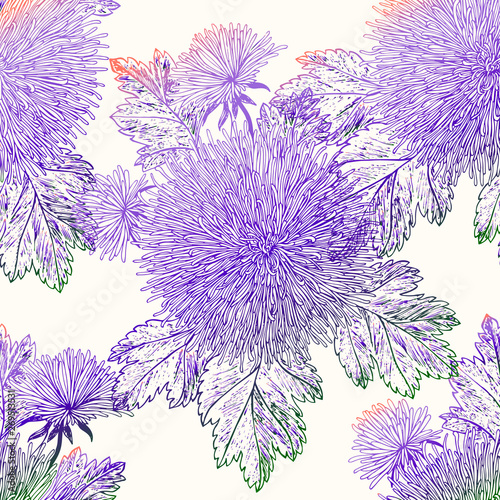 Beautiful seamless pattern with Chrysanthemum flowers . Vector illustration. EPS 10