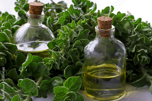 Fresh green thyme and oregano oil in bottles.