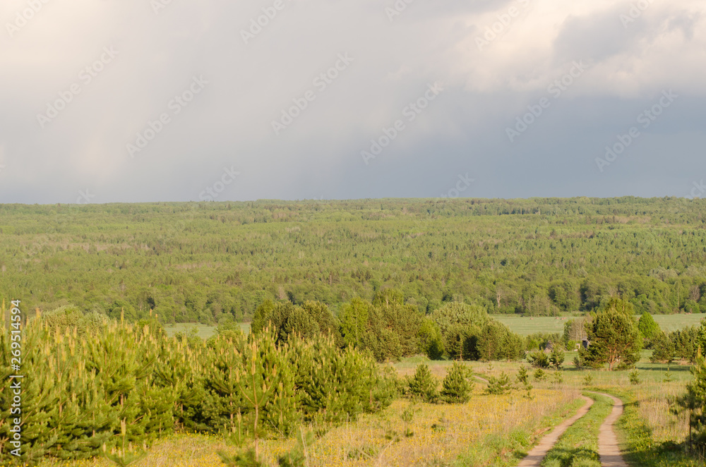 extensive forests, trees on the horizon and country road