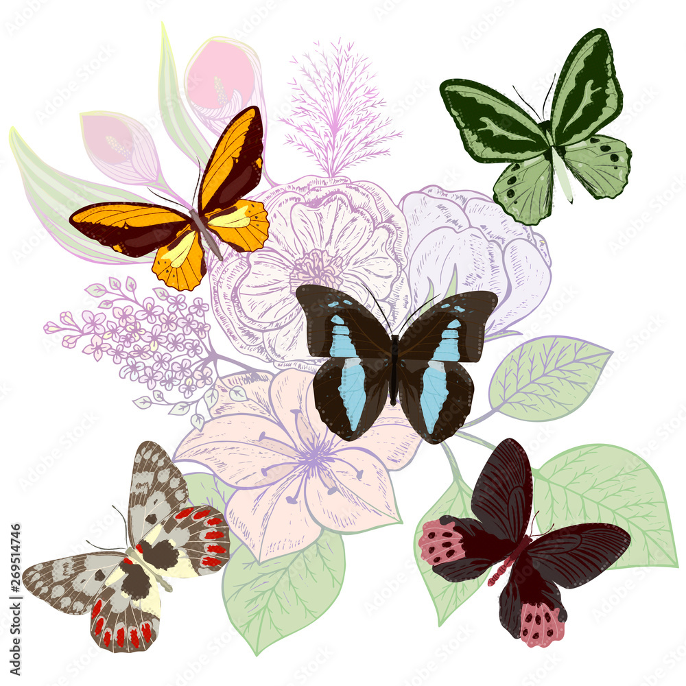 Beautiful background with flowers and butterflies. Space for text. Vector illustration. EPS 10 Beautiful background with flowers and butterflies. Space for text. Vector illustration. EPS 10