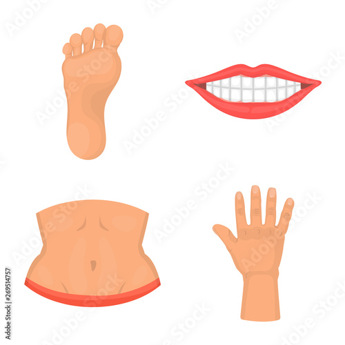Isolated object of body and part symbol. Set of body and anatomy stock symbol for web.