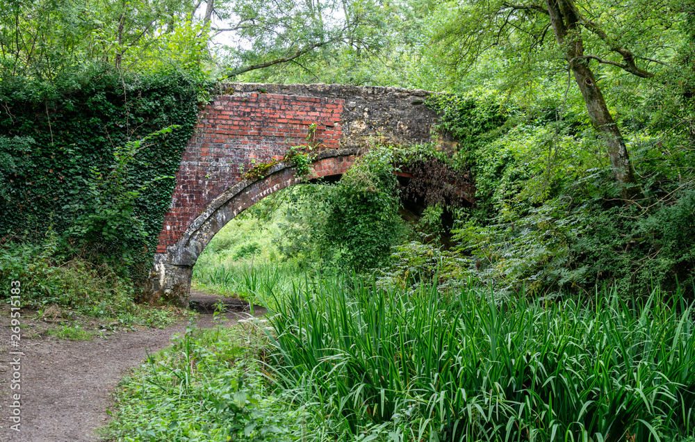 18th Century Whitehall Bridge over the disused Severn - Thames Canal near Frampton Mansell 18th Century Whitehall Bridge over the disused Severn - Thames Canal near Frampton Mansell