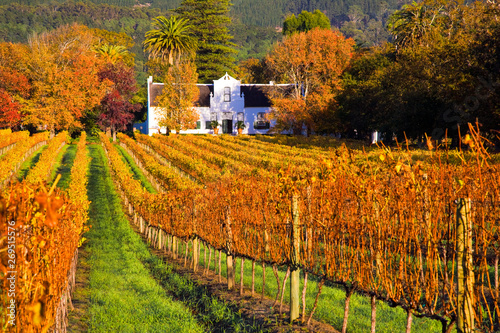 Wine tour, Constantia, Cape Town