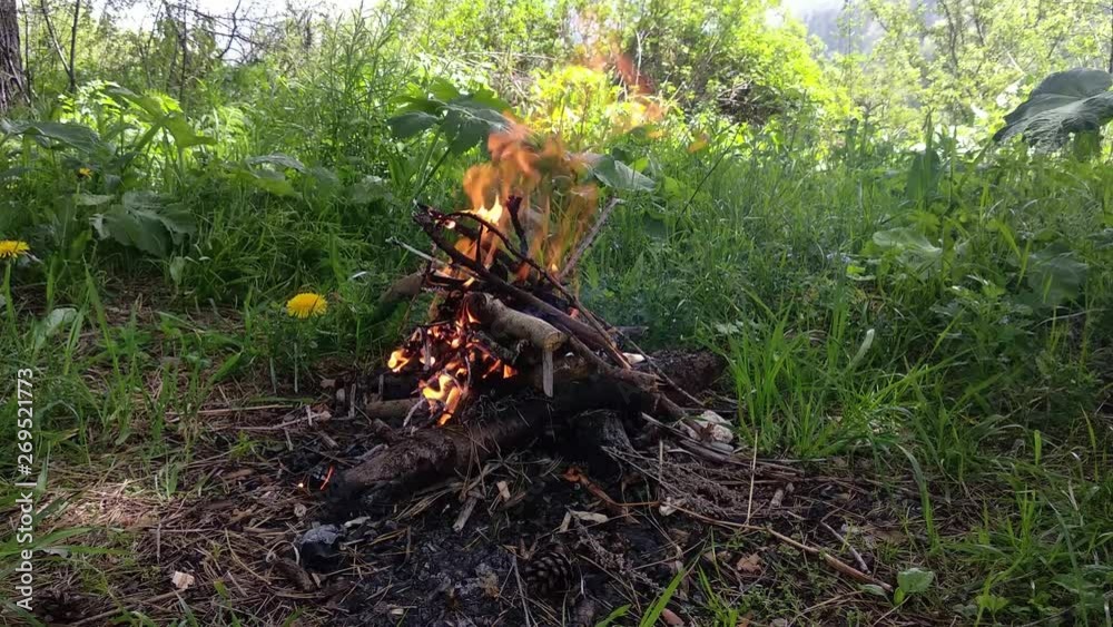 A small campfire in mountain forest. Green grass and mountain at background