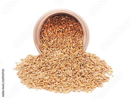 Whole grain of wheat with a jug.