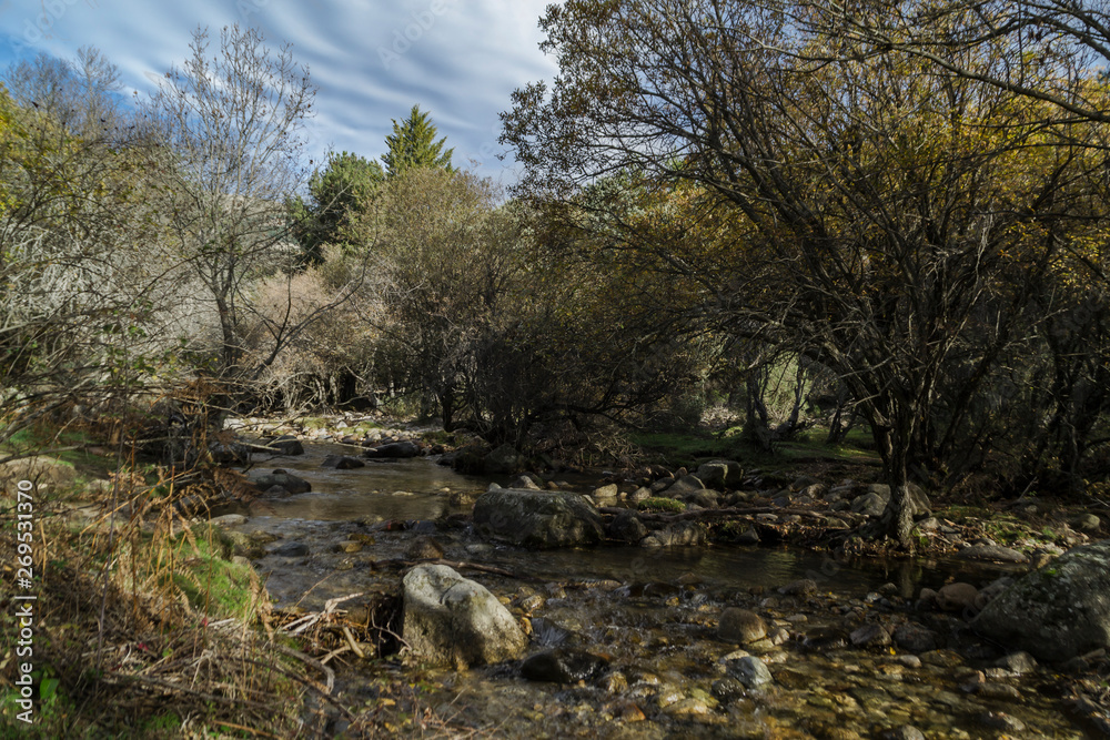Fototapeta premium Rivers and streams of water. The Pedriza. Madrid's community. Spain.