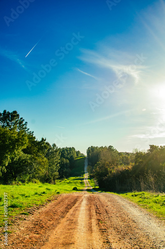 Estrada de terra no meio do campo photo