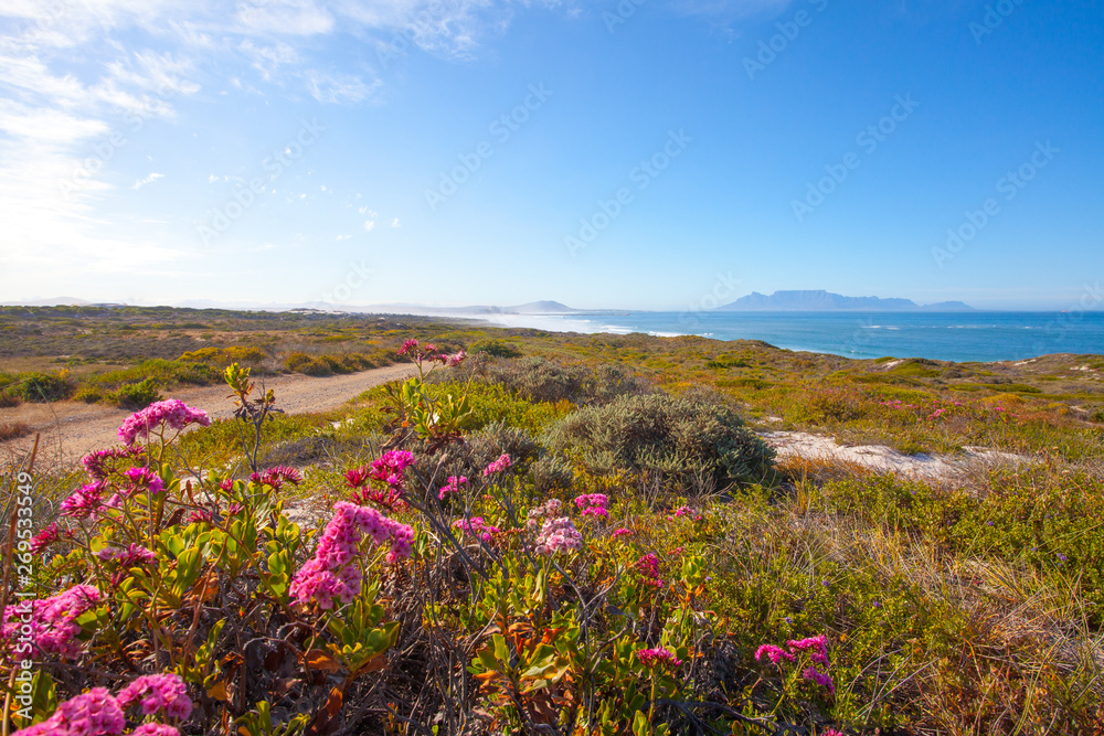 Fototapeta premium Table Mountain, Veiws.