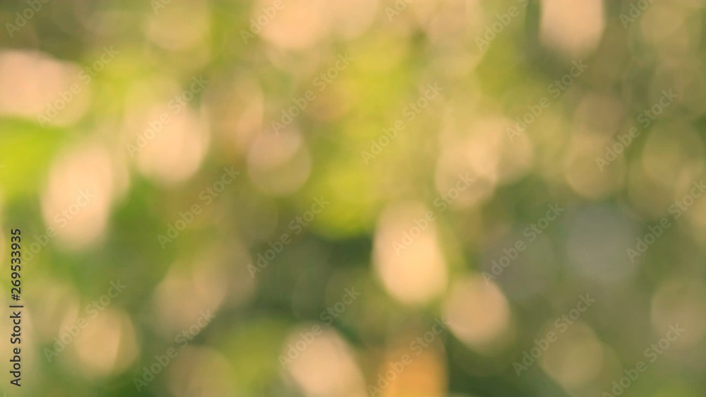 Defocused abstract nature background yellow leaves and bokeh lights. Royalty high-quality free stock image of natural blurred bokeh background from leaf with copyspace for text advertising design Defocused abstract nature background yellow leaves and bokeh lights. Royalty high-quality free stock image of natural blurred bokeh background from leaf with copyspace for text advertising design