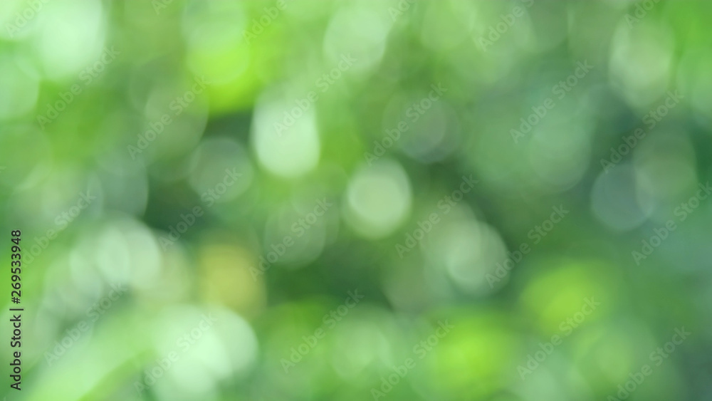 Green bio background, abstract blurred foliage bright sunlight. Organic design nature abstract background with copyspace for text advertising design. Green abstract light background and bokeh effect Green bio background, abstract blurred foliage bright sunlight. Organic design nature abstract background with copyspace for text advertising design. Green abstract light background and bokeh effect
