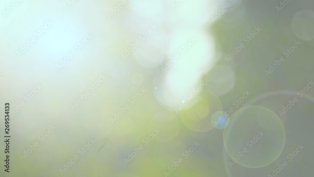Sunlight yellow bio background, abstract blurred foliage sun light. Organic design nature abstract background with copyspace for text advertising design. Blur nature image in sunshine and bokeh effect