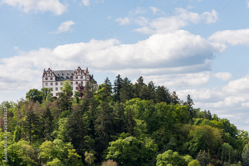 Blick auf Schloss Lichtenberg im malerischen Fischbachtal im Odenwald, Hessen, Deutschland