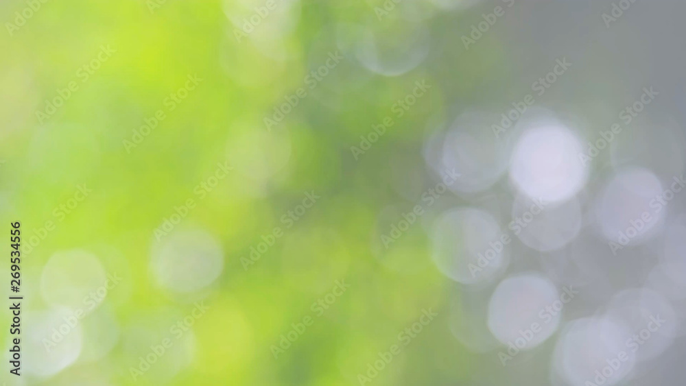 Obraz premium Defocused abstract nature background yellow leaves and bokeh lights. Royalty high-quality free stock image of natural blurred bokeh background from leaf with copyspace for text advertising design