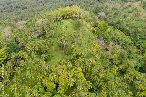 Rain forest on a hillside in sunny weather, top view. Landscape on the island Camiguin.
