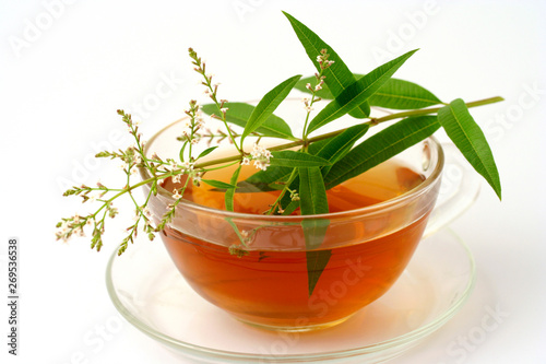 Lemon verbena infusion. Lippia citriodora.