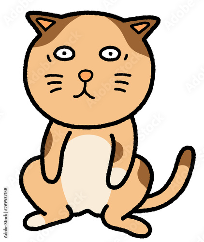おどろくネコ