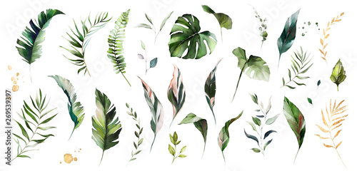 set watercolor leaves - monstera, banana palm, fern. herbal illustration. Bot...