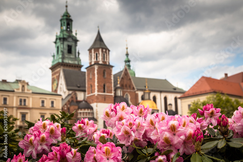 Garden in Wawel castle yard with beautiful flowers and castle in the background