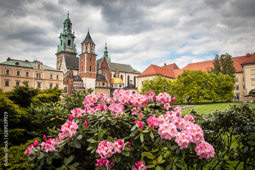 Garden in Wawel castle yard with beautiful flowers and castle in the background