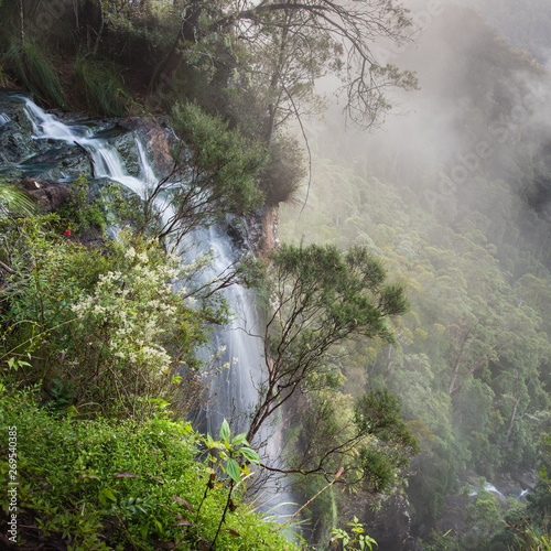 Waterfall in misty rainforest in Springbrook National Park, Queensland, Australia.
