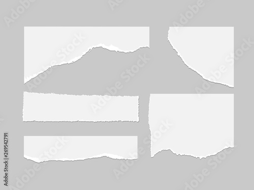 Vector set of torn sheet of paper in realistic style. Vector photo