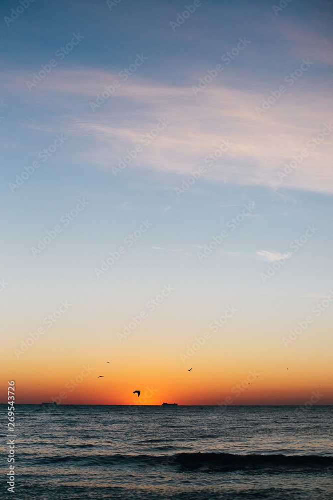 Beautiful sun rise and seagulls flying in red sky above sea waves on tropical island. Waves in ocean at sunset light. Tranquil calm moment. Summer vacation. Copy space