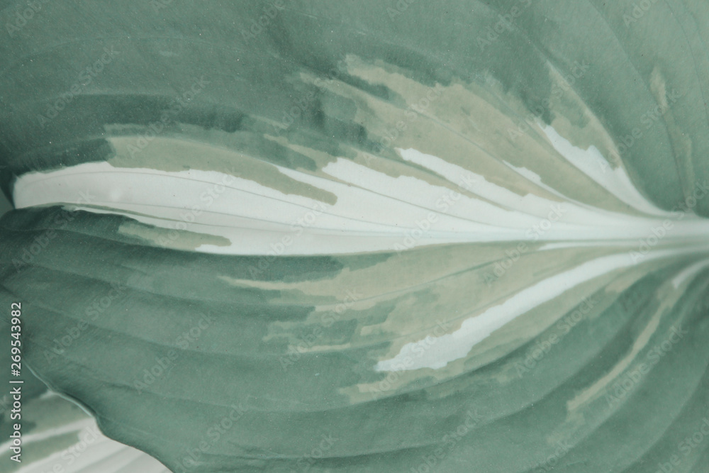 Obraz premium Abstract Blurred Texture Background. Blurred Abstract Gray Pattern. Blurred Colorful Textures.