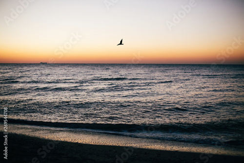 Beautiful seagulls flying in pink sky and sun rise above sea waves on tropical island. Waves in ocean at sunset light. Tranquil calm moment. Summer vacation. Copy space