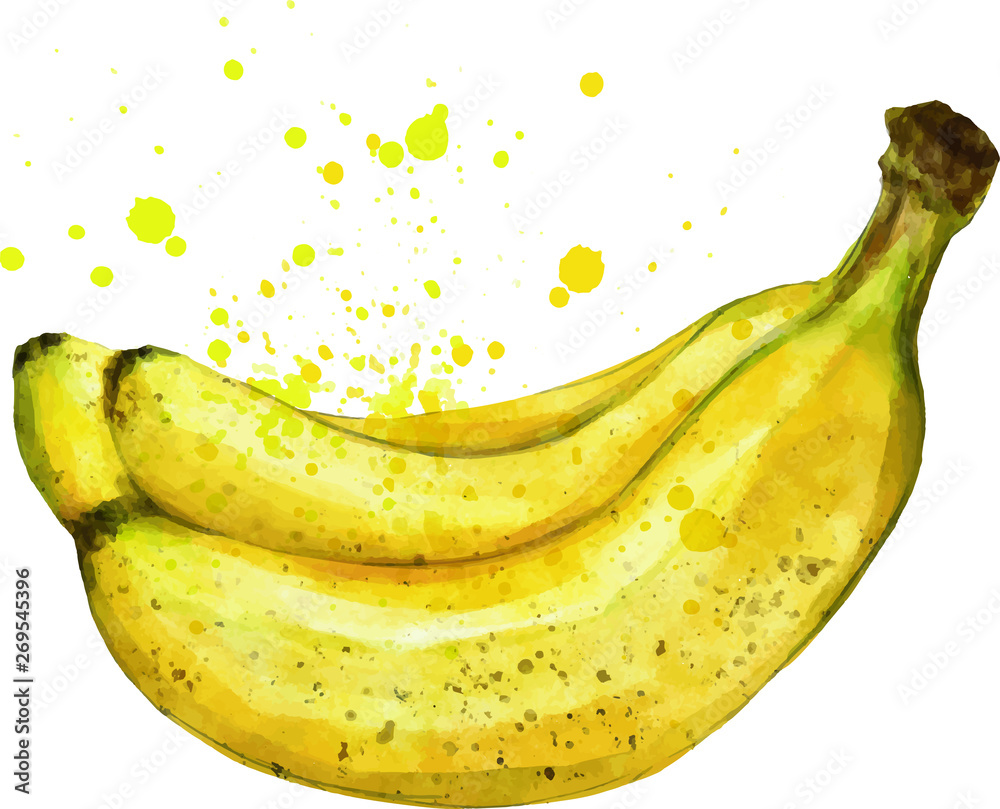 bunch of bananas isolated on white background - watercolor styel