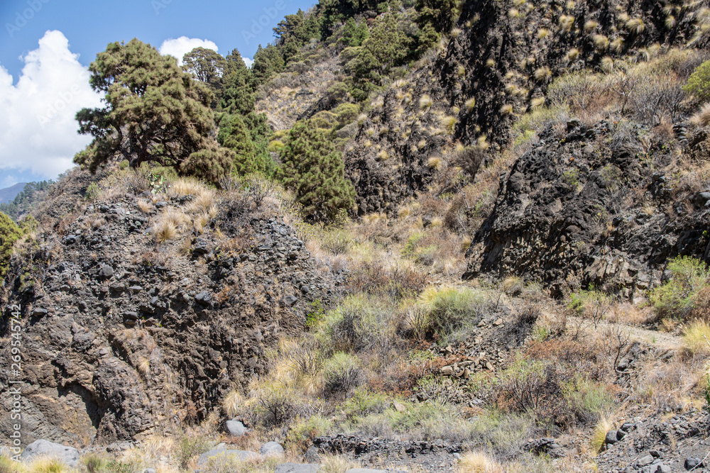 Volcanic landscape and ravine at Barranco de las Angustias, La Palma, Canary Islands, Spain Volcanic landscape and ravine at Barranco de las Angustias, La Palma, Canary Islands, Spain