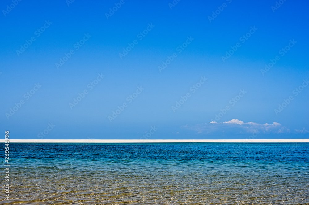 White beach with tropical sand and coral and blue sea backgroundWhite beach with tropical sand and coral with plants and blue sea background. Horizont . Mozambique. Vilankulos