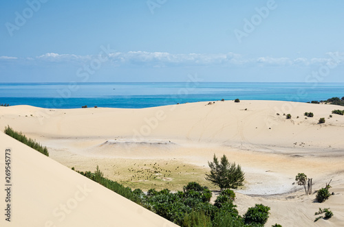 White beach with tropical sand and coral with plants and blue sea background. Mozambique. Vilankulos