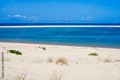 White beach with tropical sand and coral with plants and blue sea background. Horizont. Mozambique. Vilankulos