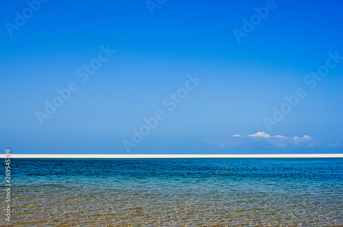 White beach with tropical sand and coral and blue sea backgroundWhite beach with tropical sand and coral with plants and blue sea background. Horizont . Mozambique. Vilankulos