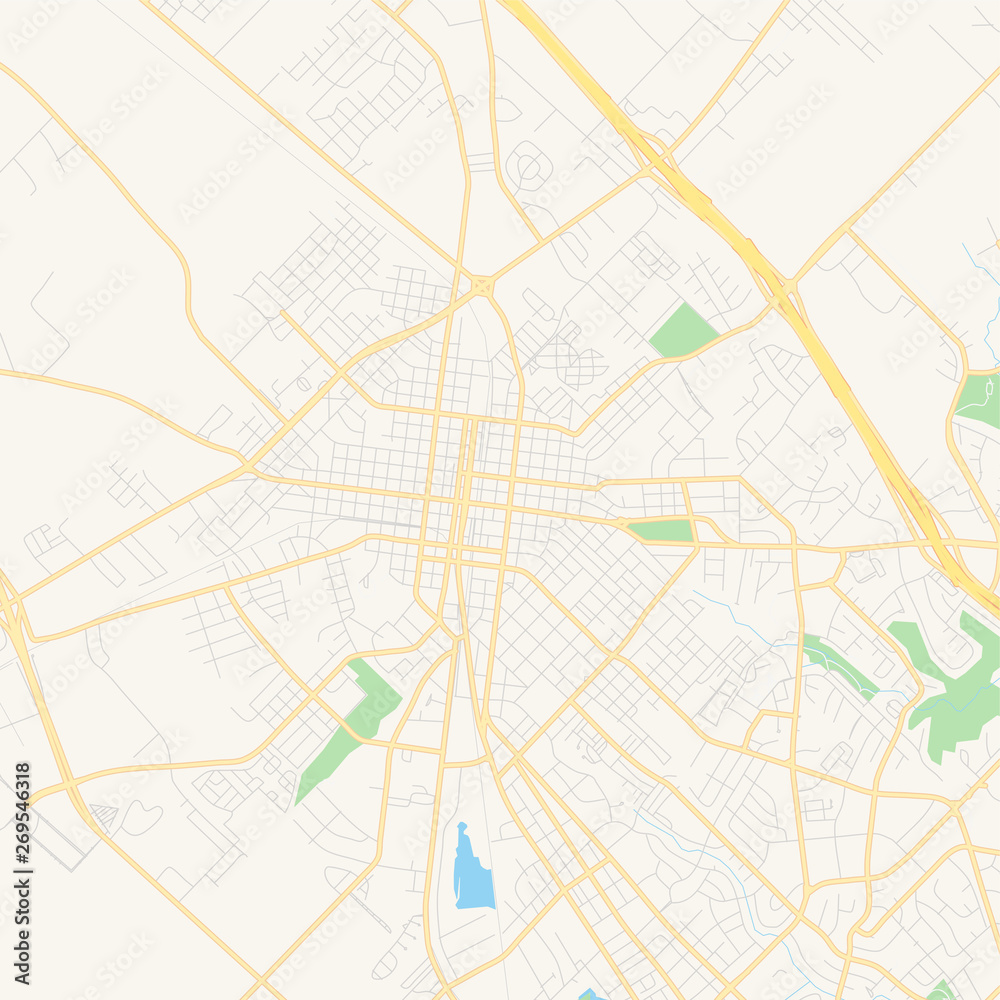 Empty vector map of Bryan, Texas, USA